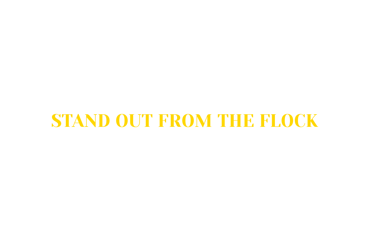 Stand out from the flock